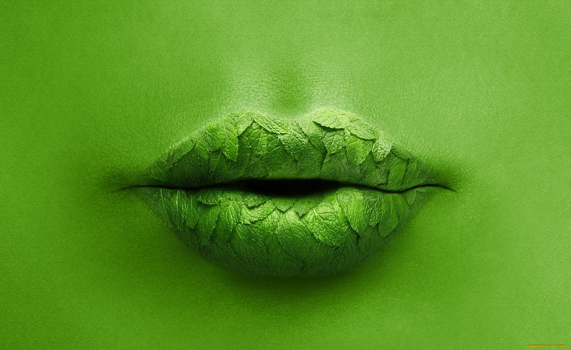 Зеленые губы